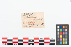 Etikett zu Bronzemessergriff (NHMW-PRAE-025677)